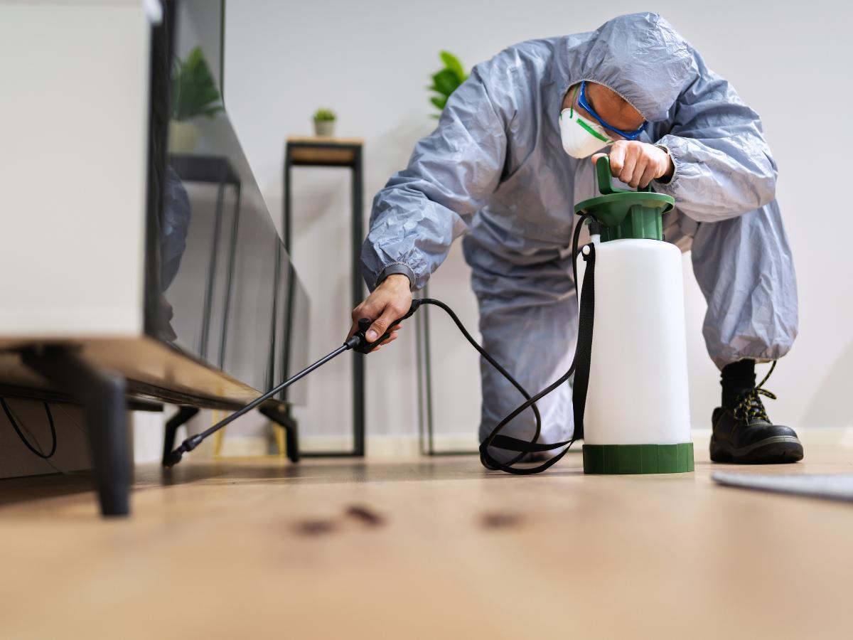 Exterminator services in Nellysford, VA by Modern Pest Solutions, ensuring complete pest control with fast response times