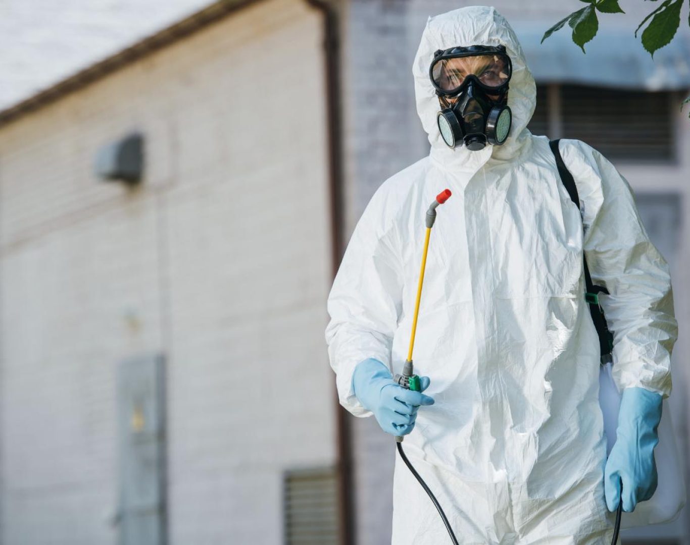 Bed bug extermination in Staunton, VA by Modern Pest Solutions, providing expert treatments for complete removal