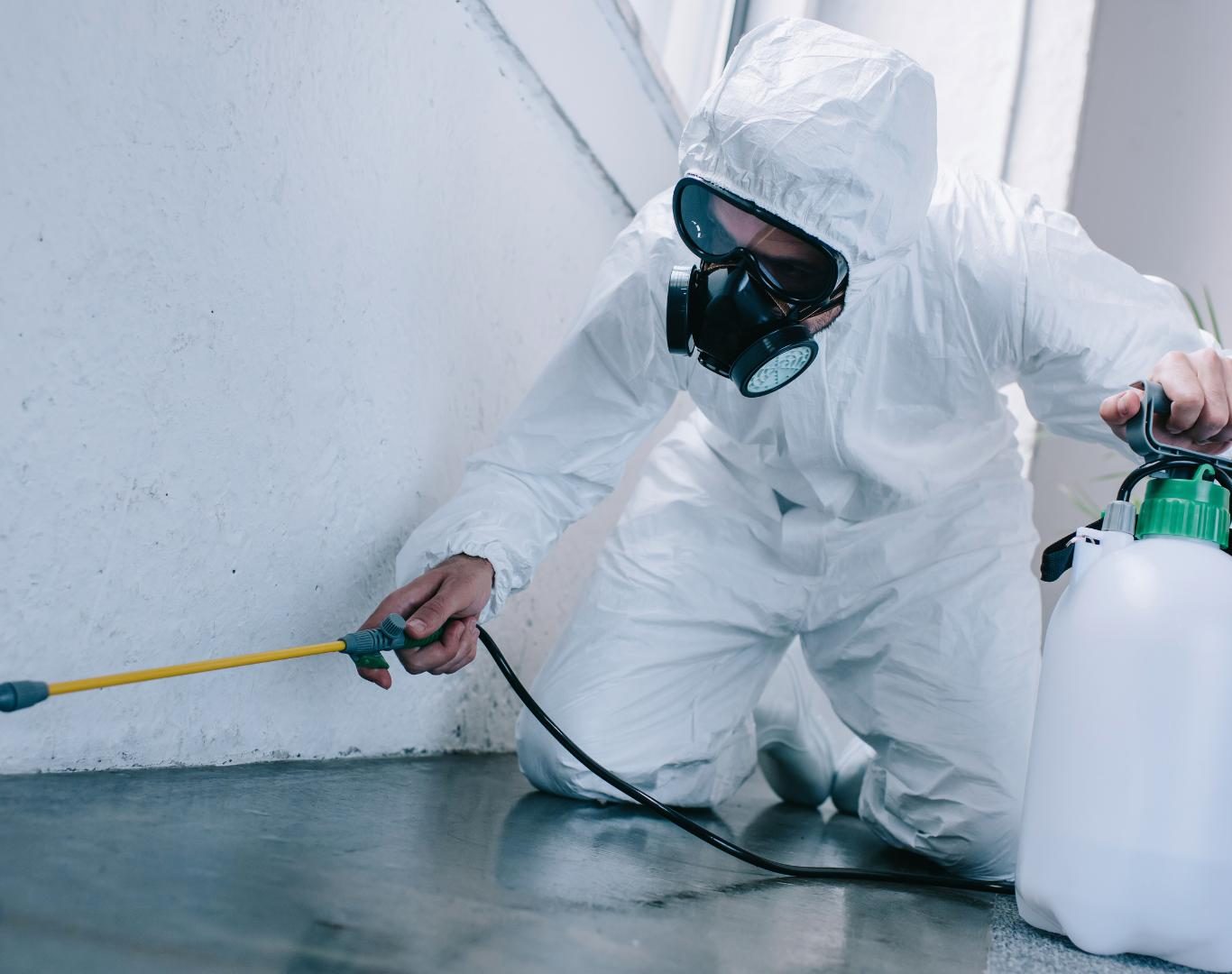 Exterminator in Crozet, VA by Modern Pest Solutions, offering expert pest elimination for residential and commercial properties