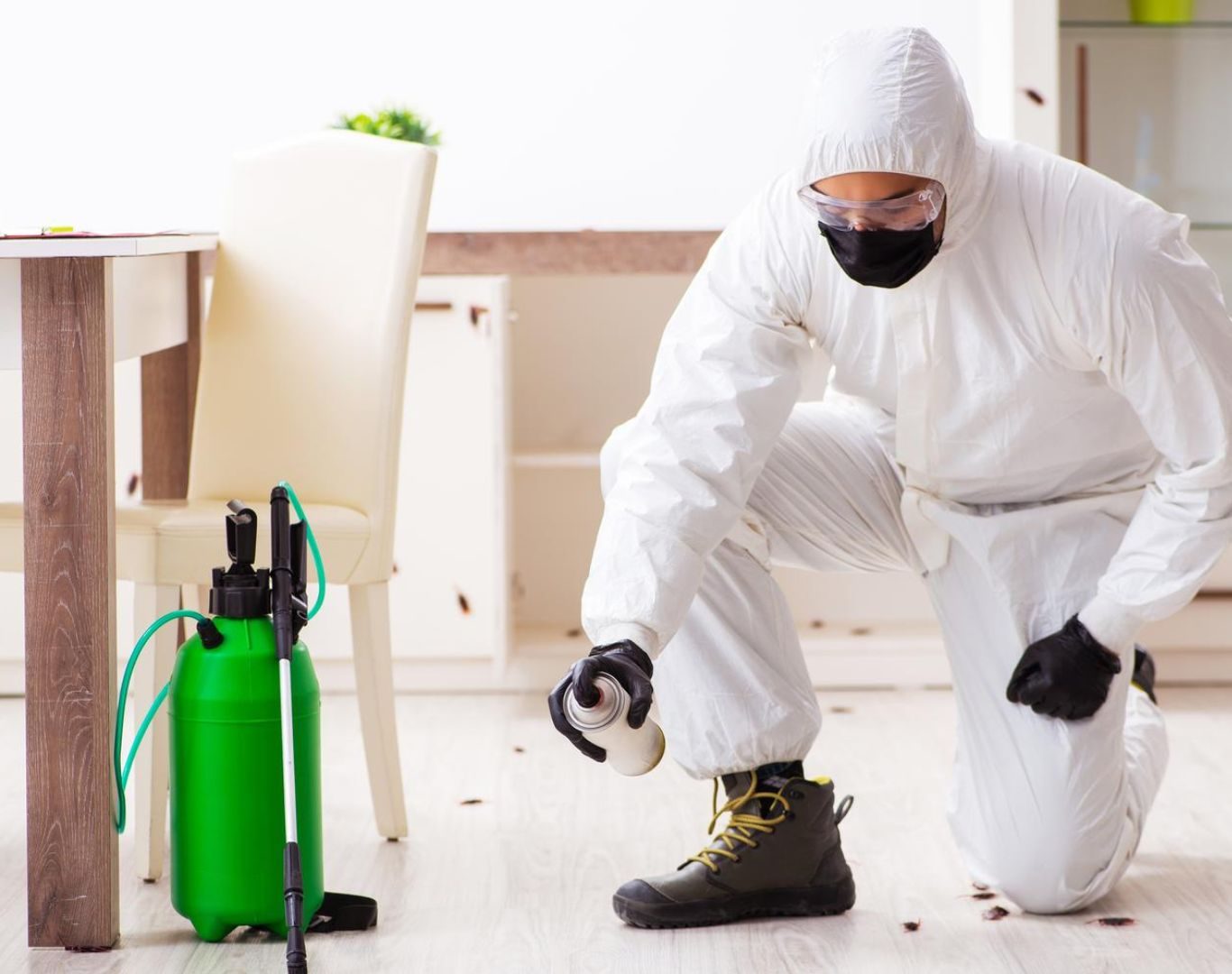 Exterminator in Fishersville, VA by Modern Pest Solutions, offering professional pest removal for homes and businesses