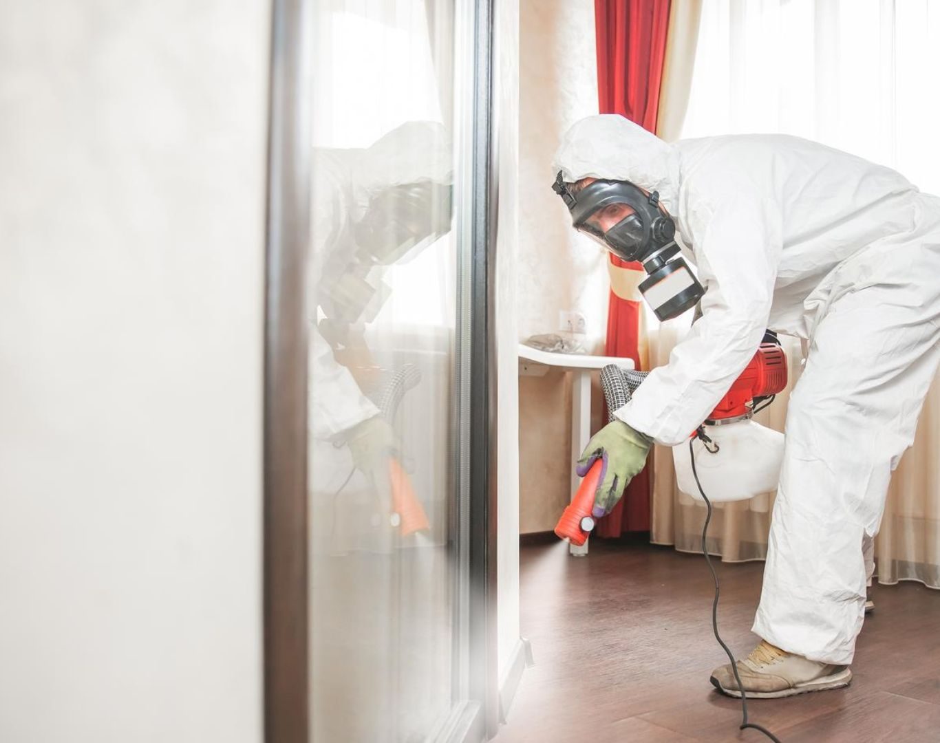 Exterminator in Lyndhurst, VA by Modern Pest Solutions, offering safe and reliable pest removal for homes and businesses