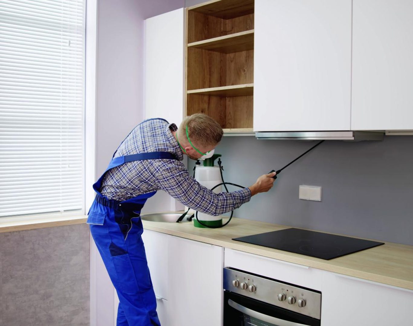 Exterminator in North Garden, VA by Modern Pest Solutions, providing expert pest elimination services