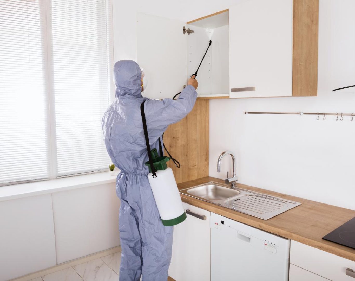 Exterminator in Roseland, VA by Modern Pest Solutions, offering expert pest removal and inspection services