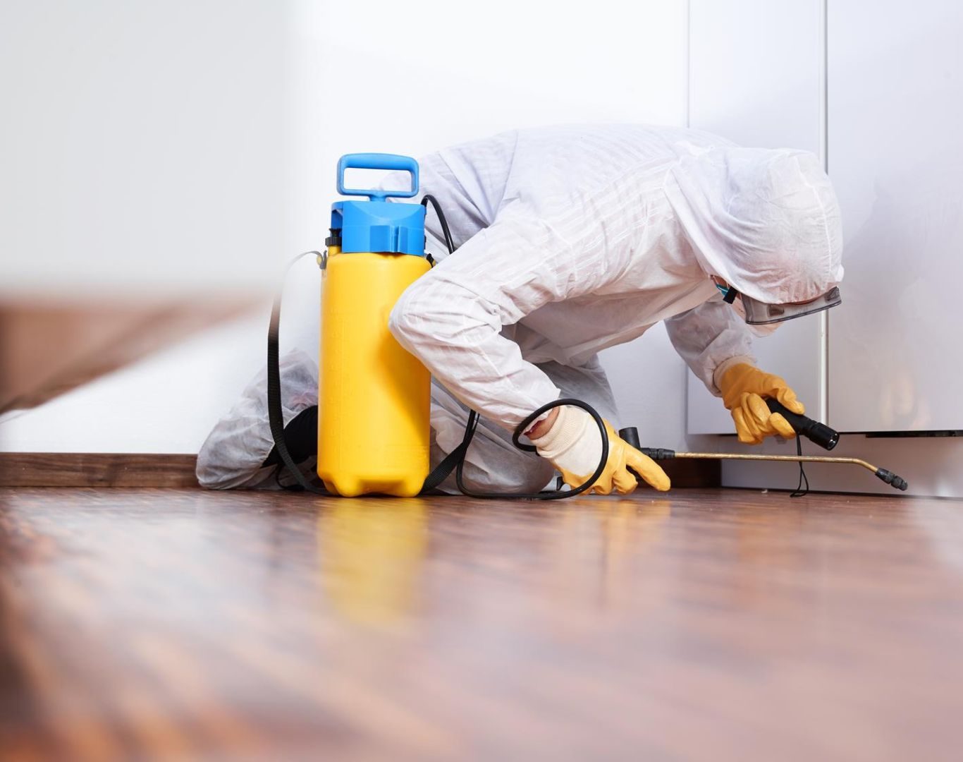 Exterminator near me in Fishersville, VA by Modern Pest Solutions, using safe and effective pest control treatments