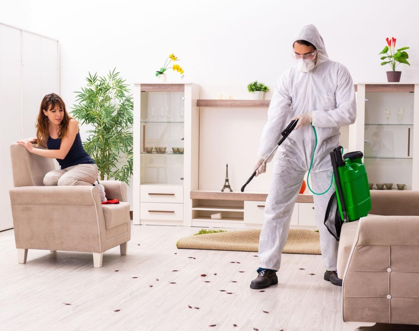 Exterminator near me in Staunton, VA by Modern Pest Solutions, using eco-friendly treatments for pest elimination