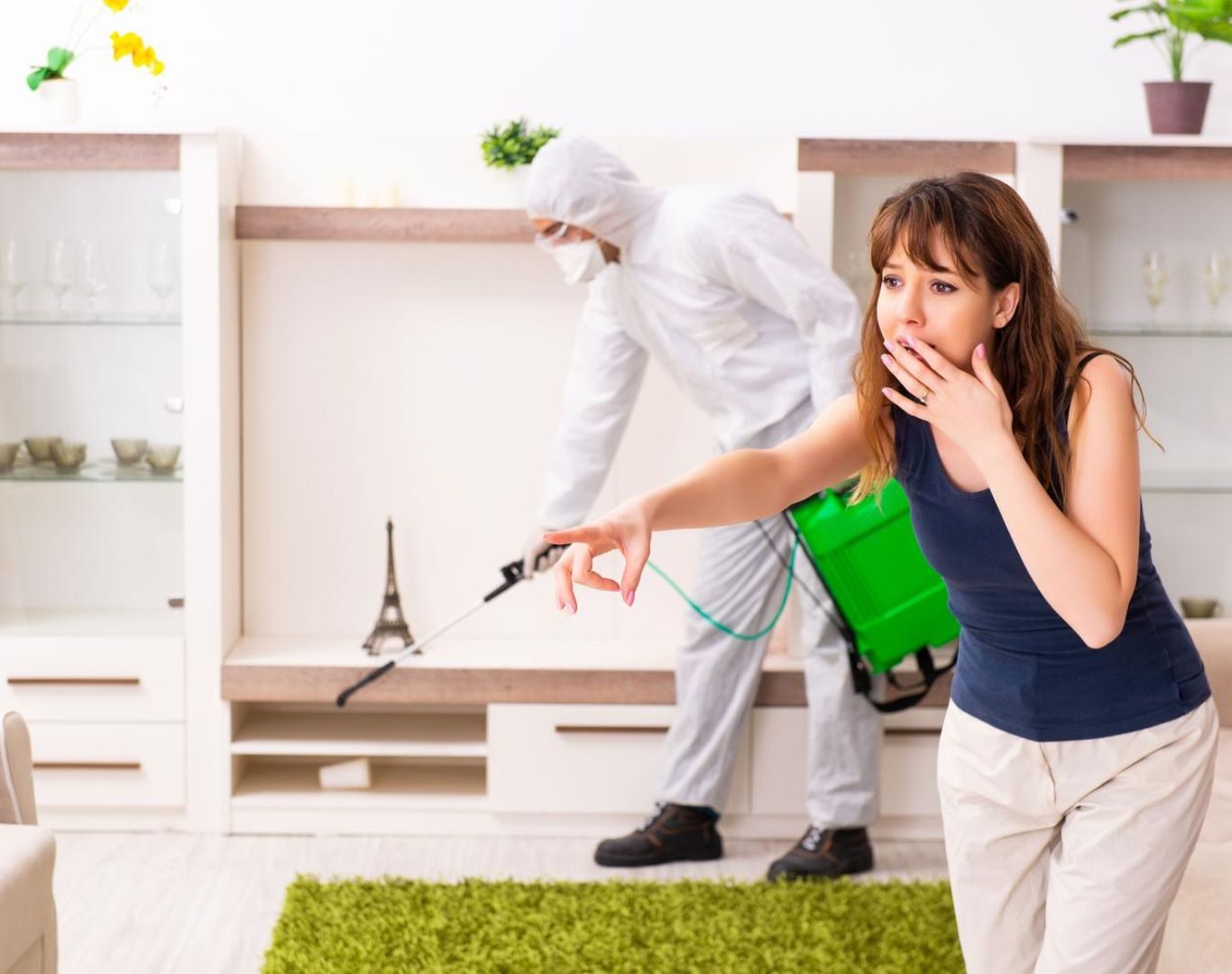Exterminator services in Ivy, VA by Modern Pest Solutions, offering thorough pest removal and prevention