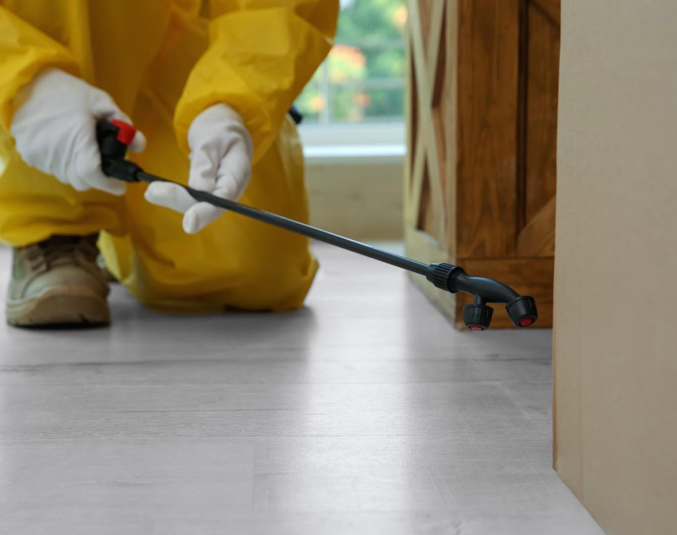 Pest control in Faber, VA by Modern Pest Solutions, providing expert pest management with eco-friendly treatments