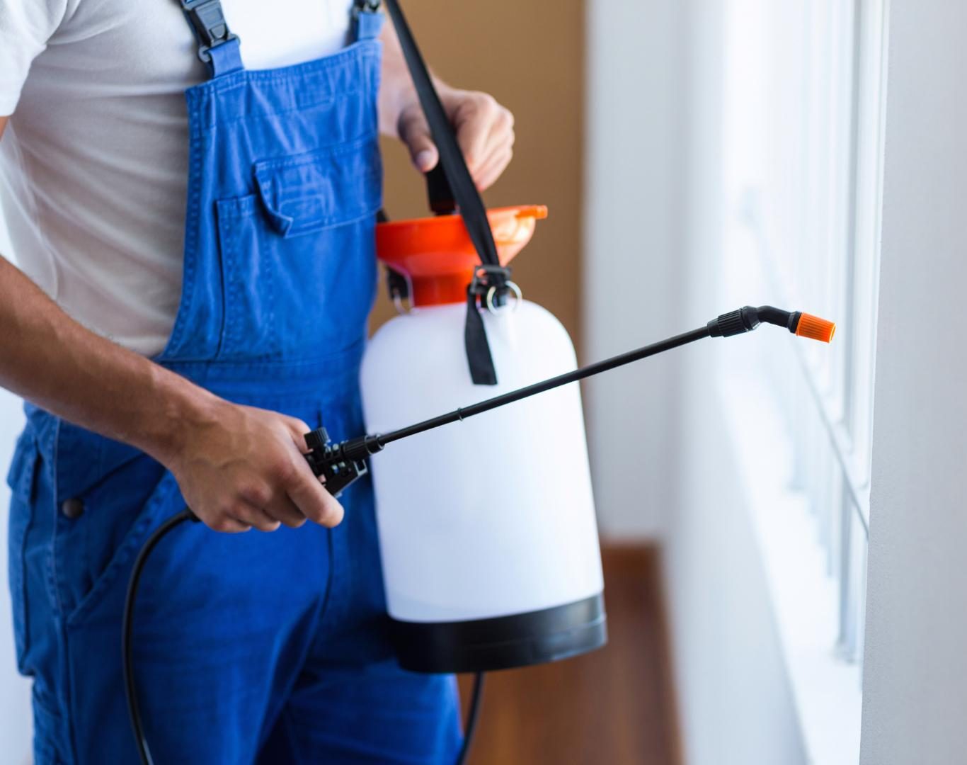 Pest control near me in Roseland, VA by Modern Pest Solutions, offering eco-friendly and effective pest removal services