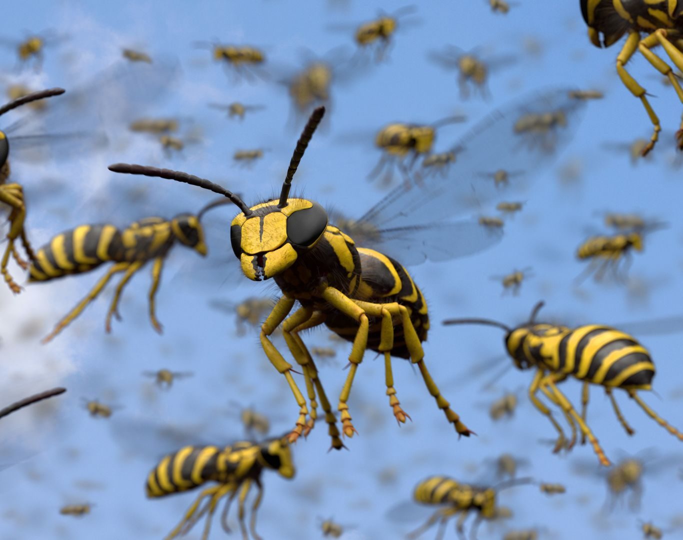 Yellow jacket removal near me in Afton, VA by Modern Pest Solutions, delivering targeted solutions for active yellow jacket colonies around properties